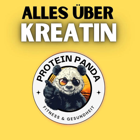 Kreatin: Der Turbo für deinen Muskelaufbau