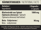 MST - Beta Ecdysterone 240 Kapseln