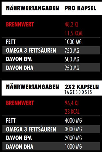 Big Zone Omega 3 Fury Triglyceride 300 Kapseln