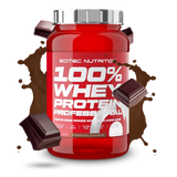 Scitec 100% Whey Professional 920g