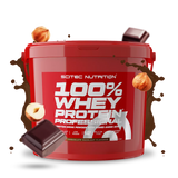 Scitec 100% Whey Professional 5000g